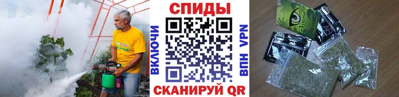Бутират BDO  как найти закладки  мориарти какой сайт  Кинель 
