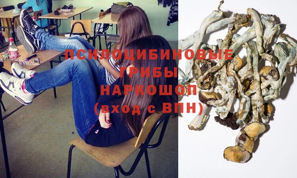 герыч Алексин